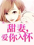 甜妻,爱你入怀
