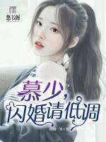 慕少,闪婚请低调