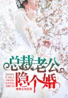 总裁老公,隐个婚