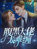 腹黑大佬太难缠童渺渺慕煜城