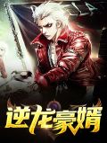 逆龙豪婿丁瑶