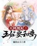 天降傻妃:王妃要和离