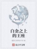 白金之上的王座