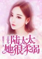 古穿今:陆太太她很柔弱