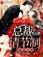 宠妻无度,总裁请节制