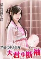 穿越代弟去出嫁:夫君是断袖