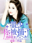 律政娇妻:墨少,你被捕了!