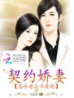 契婚老公太高冷