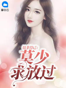 小说情非得己小说