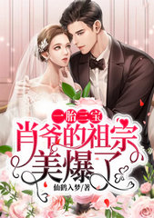 一胎三宝萧爷追妻路
