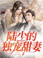 陆少的独宠甜妻 草莓茶