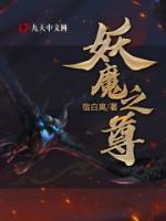 妖魔之主 小说