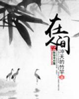 在人间电视剧免费观看