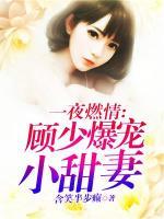 顾少宠妻超甜的 一夜盛夏