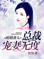 暖婚袭人,总裁宠妻无度