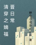 清穿之嫡福晋日常