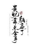 清穿:贵妃靠点金手躺赢了