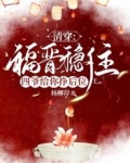清穿:福晋稳住!四爷给你挣后位