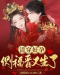 清穿好孕:侧福晋又生了