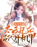 真身穿越:太子妃在古代开机甲