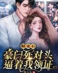 相亲后,豪门死对头逼着我领证