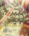 从男爵到皇帝的种田之路