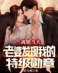 离婚当天,老婆发现我的特级勋章