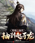 赘婿之抽奖抽到赵子龙
