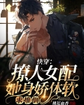 快穿:撩人女配她身娇体软求推倒