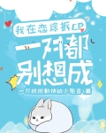 我在恋综拆CP,一对都别想成