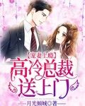 宠妻上瘾，高冷总裁送上门