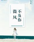 微风不及你