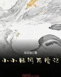 小小陆游历险记