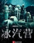 我有一座冰汽营