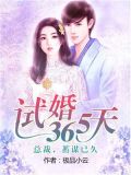 试婚365天小说