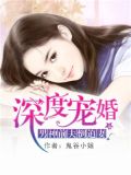 深度宠婚:男神前夫倒追妻