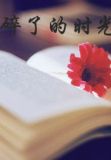 揉碎了的时光