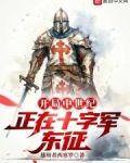 开局中世纪,正在十字军东征