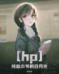 hp之纯血少爷的白月光