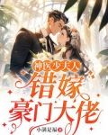 神医少夫人:错嫁豪门大佬