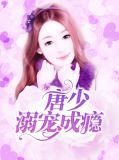 宠婚撩人顾少溺宠小小妻唐糖