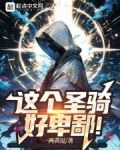 这个圣骑，好卑鄙！